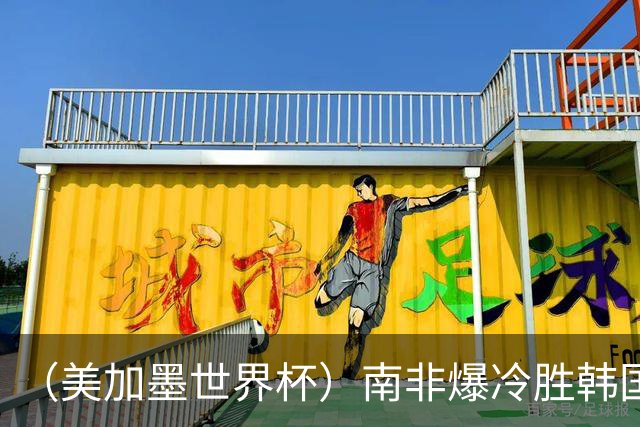（美加墨世界杯）南非爆冷胜韩国 携手墨西哥晋级淘汰赛